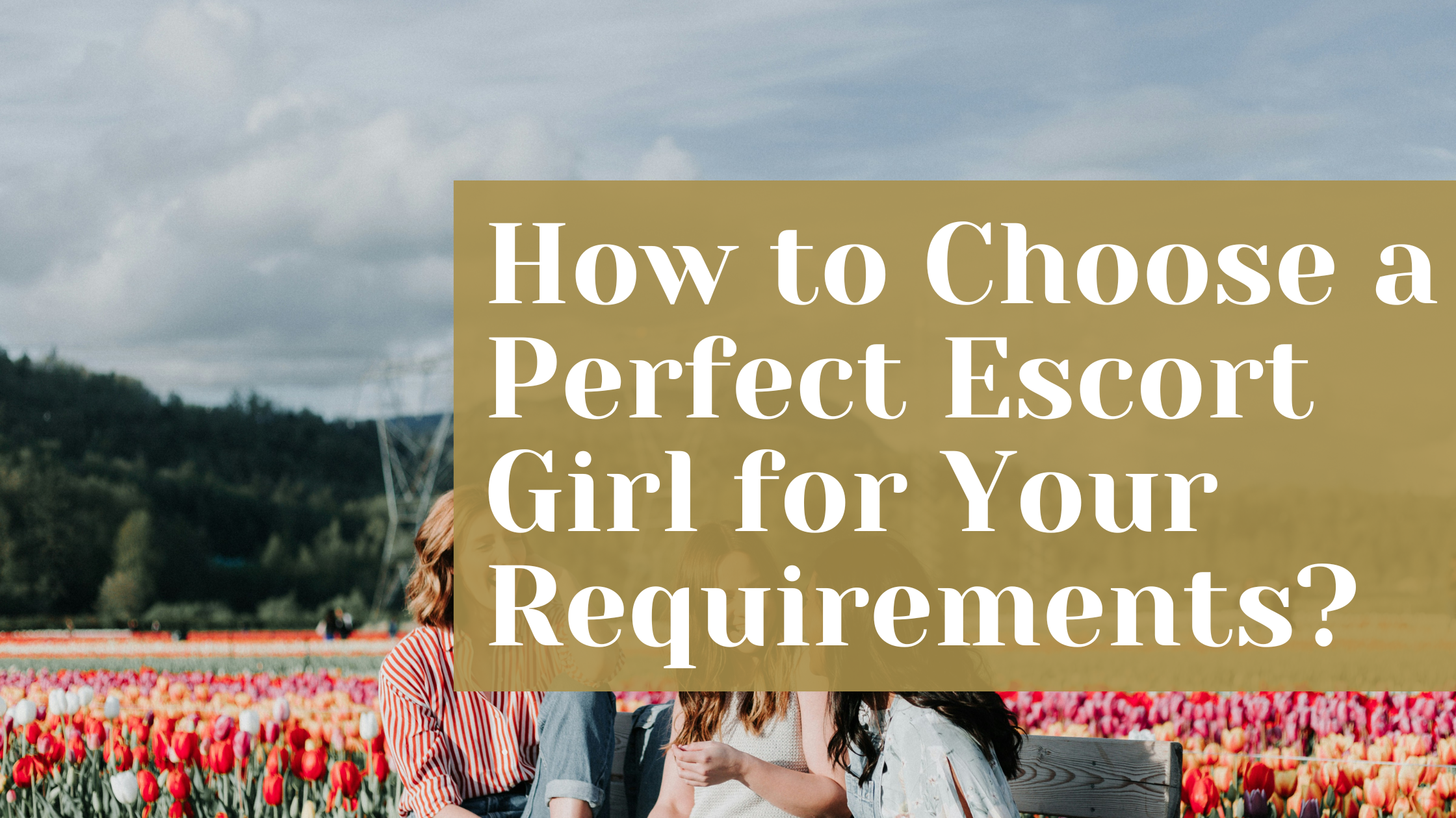 How to Choose a Perfect Escort Girl for Your Requirements